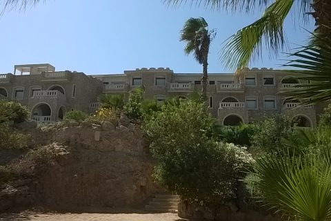 Aegypten Reise 2021 480x320