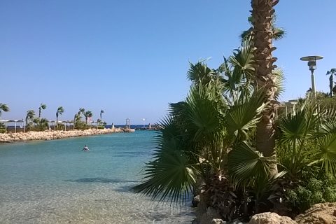 Aegyptenreisen 2021 480x320