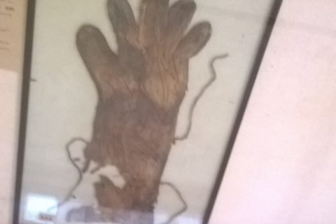 Aegyptisches Museum In Kairo Handschuhe 480x320