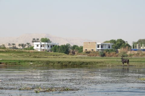 Der Nil Ist Der Längste Fluss Von Ägypten Landschaft 480x320