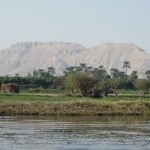 Der%20Nil%20ist%20der%20längste%20Fluss%20von%20Ägypten%20Ufer 150x150