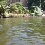 Der%20Nil%20ist%20der%20längste%20Fluss%20von%20Afrika 150x150