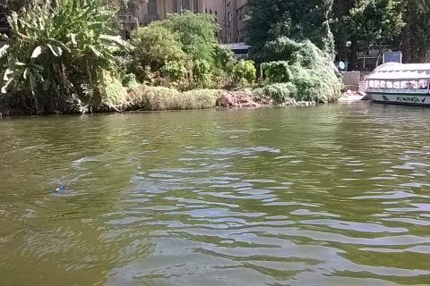 Der Nil Ist Der Längste Fluss Von Afrika 480x320