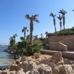 Hotel%20Albatros%20Citadel%20Resort 150x150