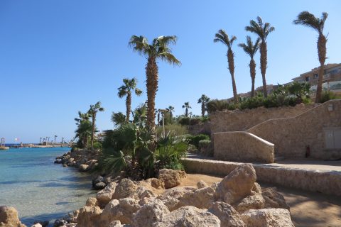 Hotel Albatros Citadel Resort 480x320