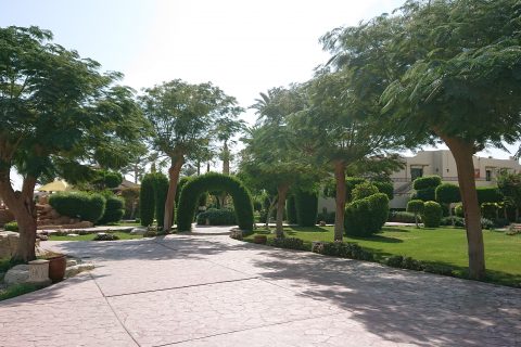 Lotus Bay Beach Resort Blumen 480x320