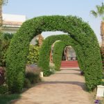 Lotus%20Bay%20Beach%20Resort Garten 150x150