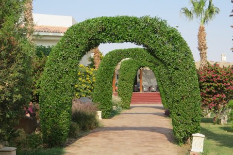 Lotus Bay Beach Resort Garten 480x320