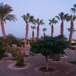Lotus%20Bay%20Beach%20Resort Meerblick 150x150