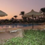 Lotus%20Bay%20Beach%20Resort Palmen 150x150