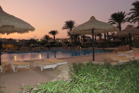 Lotus Bay Beach Resort Palmen 480x320