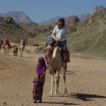 Kamelreiten in der Wüste