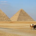 Ägypten plant Verbot von Kamelreiten in Gizeh