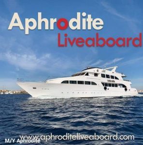 https://aphroditeliveaboard.com/